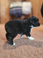 processed/d51fb151-819c-4a2a-a2e9-923adf2b153b/listing/a8249dfa-2a28-4774-a3d6-85222ccf9f07/2c6e94f5-110a-4dd7-a885-a41d2de94389