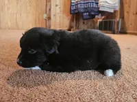 processed/d51fb151-819c-4a2a-a2e9-923adf2b153b/listing/a8249dfa-2a28-4774-a3d6-85222ccf9f07/c5a9b47e-8961-4ffa-afee-42e447fd27dc