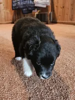 processed/d51fb151-819c-4a2a-a2e9-923adf2b153b/listing/a8249dfa-2a28-4774-a3d6-85222ccf9f07/ea84b05f-ab22-480e-9dde-0b15843bdd6b