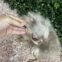 processed/d5225c5f-82c3-41a8-94f1-f060af126515/facility/83be3d97-094f-48b1-8686-9d24e69f6c2f