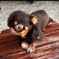 processed/d5225c5f-82c3-41a8-94f1-f060af126515/facility/e550526b-efd5-4787-b540-e7787d3f50ac