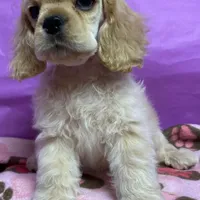 processed/d52272a2-da61-4932-afcb-8deb8716a51e/facility/151e6090-26a9-4cfd-b32d-0bcfdc0ad381