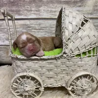 processed/d52272a2-da61-4932-afcb-8deb8716a51e/facility/260b668a-deba-47d9-bd3b-63c4bbb80107