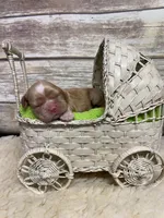 processed/d52272a2-da61-4932-afcb-8deb8716a51e/facility/260b668a-deba-47d9-bd3b-63c4bbb80107