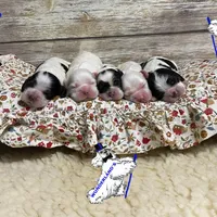 processed/d52272a2-da61-4932-afcb-8deb8716a51e/facility/30a7872c-f7f0-419b-aaa1-9d9cd5a55e07