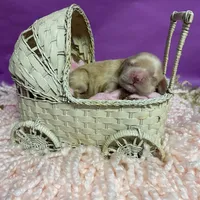 processed/d52272a2-da61-4932-afcb-8deb8716a51e/facility/33967086-b79c-477d-a491-bbf94a96a061