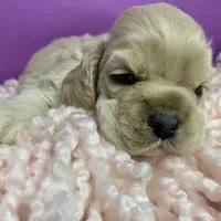 processed/d52272a2-da61-4932-afcb-8deb8716a51e/facility/8b64c5a2-4327-42bc-9a9d-737f6f710ab1