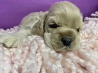 processed/d52272a2-da61-4932-afcb-8deb8716a51e/facility/8b64c5a2-4327-42bc-9a9d-737f6f710ab1