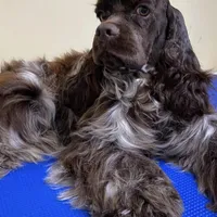 processed/d52272a2-da61-4932-afcb-8deb8716a51e/facility/903c9708-45cd-4d7a-a25f-b515e385afd4