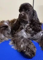 processed/d52272a2-da61-4932-afcb-8deb8716a51e/facility/903c9708-45cd-4d7a-a25f-b515e385afd4