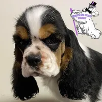 processed/d52272a2-da61-4932-afcb-8deb8716a51e/facility/b576d17c-c4cc-4f29-8379-bf6dfe55e1ae