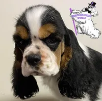 processed/d52272a2-da61-4932-afcb-8deb8716a51e/facility/b576d17c-c4cc-4f29-8379-bf6dfe55e1ae