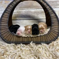 processed/d52272a2-da61-4932-afcb-8deb8716a51e/facility/b7dacb8a-4458-4b0a-ba7d-6ee15b268830