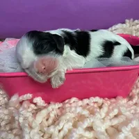 processed/d52272a2-da61-4932-afcb-8deb8716a51e/facility/c15b2890-e0f3-4892-8283-86eea4b41b98