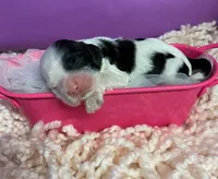 processed/d52272a2-da61-4932-afcb-8deb8716a51e/facility/c15b2890-e0f3-4892-8283-86eea4b41b98