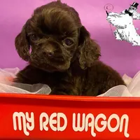 processed/d52272a2-da61-4932-afcb-8deb8716a51e/facility/cfb85975-f709-463c-ae25-5939ebf5d72f