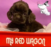 processed/d52272a2-da61-4932-afcb-8deb8716a51e/facility/cfb85975-f709-463c-ae25-5939ebf5d72f