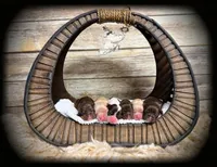 ON HOLD  solid RED FEMALE, a female Cocker Spaniel for sale in Ramsey, IN – 2 of 3