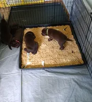 processed/d522bcf1-0598-449e-a669-48e587675097/facility/4398a5b5-9d4e-4087-9a37-36b3dc77519d