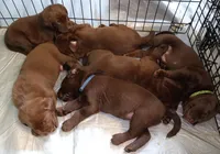 processed/d522bcf1-0598-449e-a669-48e587675097/facility/b5b94d9b-576c-4451-a4c3-c9cae1429a6b