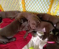 processed/d522bcf1-0598-449e-a669-48e587675097/facility/edfd2354-e1f1-4f35-a2e4-bb64d547a56a