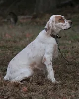 processed/d525edc9-bcfe-41f3-b383-105706111f0a/listing/05ab1669-7dc3-4d90-afea-d64cfe8973d3/6dc62f98-5eb9-4bdb-affe-baf2066606e3