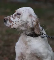 processed/d525edc9-bcfe-41f3-b383-105706111f0a/listing/05ab1669-7dc3-4d90-afea-d64cfe8973d3/95ae1dbb-4095-45d0-a6f2-f4a95c5ce8f8