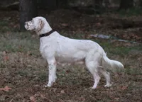 processed/d525edc9-bcfe-41f3-b383-105706111f0a/listing/05ab1669-7dc3-4d90-afea-d64cfe8973d3/a0d3b556-8689-4583-aec5-aaeb06544532