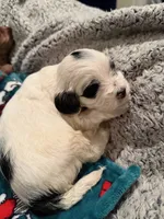 processed/d52afd64-0eb2-4f52-bdef-8e703305c28d/listing/e98898a5-f0d8-4755-bcee-b65d28e2105e/24c5744b-3d65-4dc9-aeab-8aafc00268ce