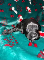 processed/d52afd64-0eb2-4f52-bdef-8e703305c28d/listing/efb4522b-21ab-48d0-b94d-1e6997e7e126/485fd111-8177-4185-ac72-15d40996de68