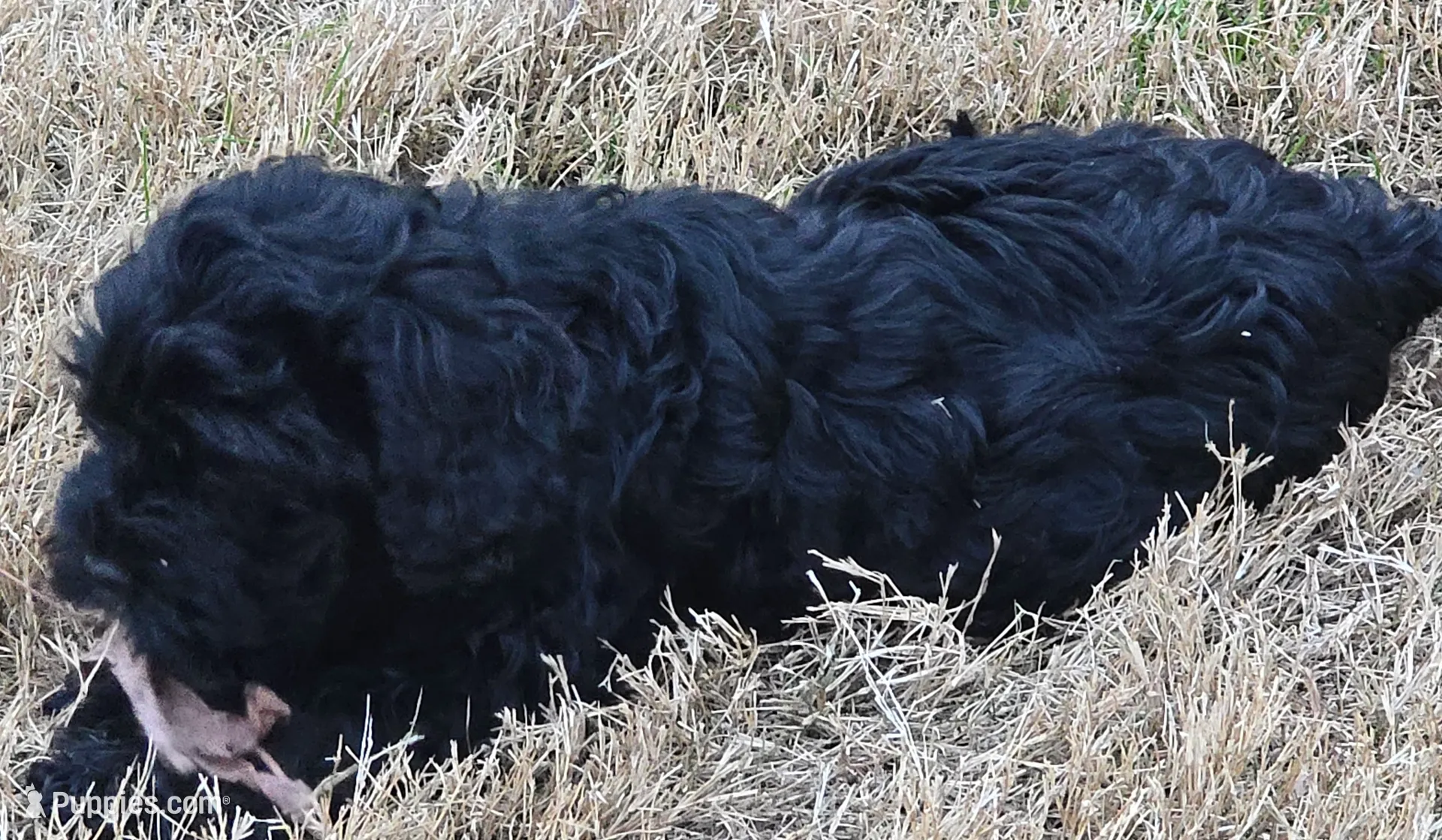 processed/d52afd64-0eb2-4f52-bdef-8e703305c28d/listing/efb4522b-21ab-48d0-b94d-1e6997e7e126/9752cda5-c1a1-418b-bc24-7a1afeb9bc48