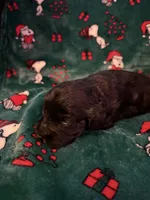 processed/d52afd64-0eb2-4f52-bdef-8e703305c28d/listing/efb4522b-21ab-48d0-b94d-1e6997e7e126/d26d0950-8ce4-4b40-8078-5243060989c8