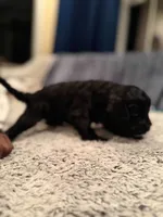 processed/d52afd64-0eb2-4f52-bdef-8e703305c28d/listing/efb4522b-21ab-48d0-b94d-1e6997e7e126/ebb2afa3-b5aa-422f-ab4e-6661d73c062e