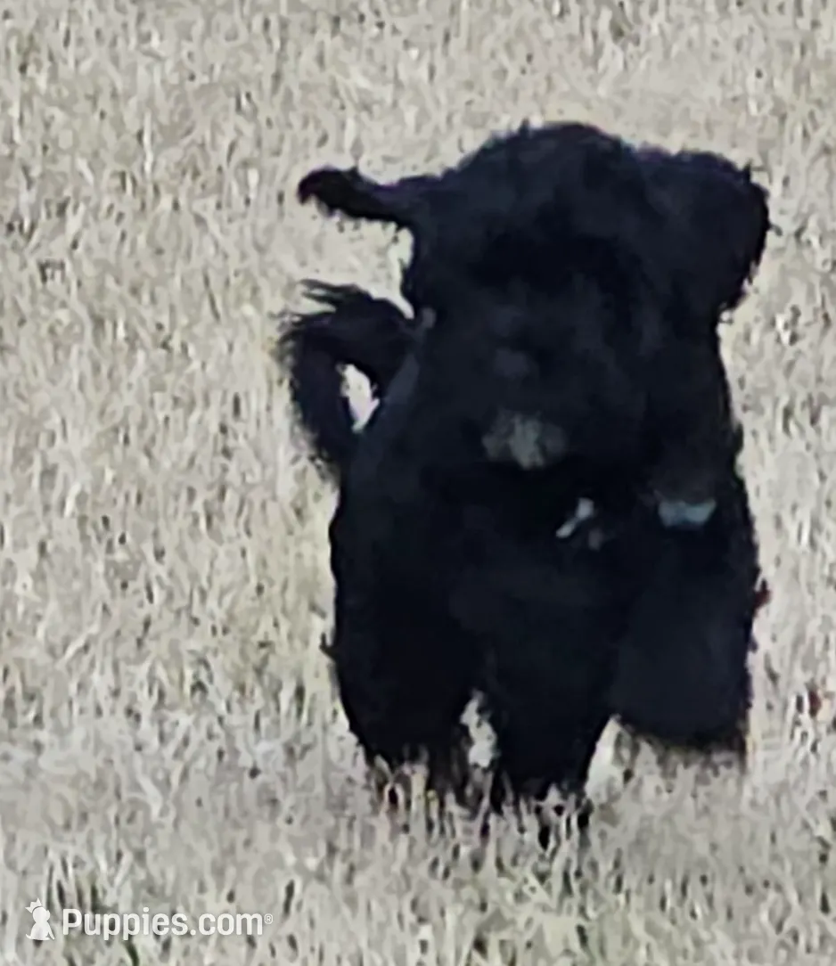 processed/d52afd64-0eb2-4f52-bdef-8e703305c28d/listing/efb4522b-21ab-48d0-b94d-1e6997e7e126/eca5b86a-9d4b-40d4-8f8a-3a318013b0ba