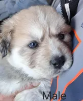 processed/d52d30f9-ba12-4aa4-90b0-2f438b41b2b4/listing/4e4cdd08-5df0-4231-ae06-5fa0ce02c0b4/fa73dbe8-fb03-40bf-9e7f-0a505dbad611