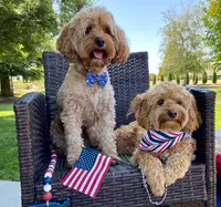 processed/d535bce9-8ef9-413a-9c5b-18a7ff7c455e/listing/d40e76a9-f1b0-4dad-a899-8ec882b43f89/1b987cf5-a0ac-4878-88fb-6f99099dcdd6