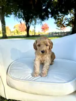 processed/d535bce9-8ef9-413a-9c5b-18a7ff7c455e/listing/d40e76a9-f1b0-4dad-a899-8ec882b43f89/52547aef-893a-4b2c-a6f1-9ec6137727d7