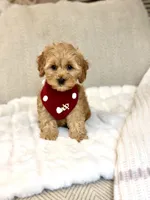 processed/d535bce9-8ef9-413a-9c5b-18a7ff7c455e/listing/d40e76a9-f1b0-4dad-a899-8ec882b43f89/6cb7710a-1e44-47b0-8ce6-f5666402eaf0