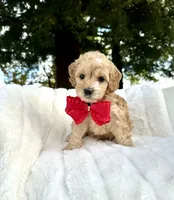 processed/d535bce9-8ef9-413a-9c5b-18a7ff7c455e/listing/ffdcc0ce-cb5a-4627-b498-8dc669ff1b0a/6bf17436-691a-4e79-bbe5-c42e5c38fda9