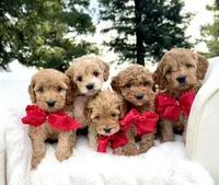 processed/d535bce9-8ef9-413a-9c5b-18a7ff7c455e/listing/ffdcc0ce-cb5a-4627-b498-8dc669ff1b0a/79b8897a-d009-4fad-ab9d-1970af8e0b56