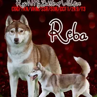 processed/d539a974-66a1-4240-af3d-2df7b3467f60/facility/0b042bcd-6c73-4ed3-881d-81a69ea8d156