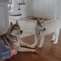 processed/d539a974-66a1-4240-af3d-2df7b3467f60/facility/25968e71-bf72-4339-a224-2d5e38c316d1