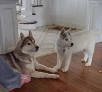 processed/d539a974-66a1-4240-af3d-2df7b3467f60/facility/25968e71-bf72-4339-a224-2d5e38c316d1