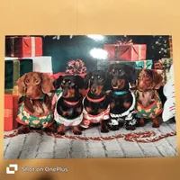 processed/d539a974-66a1-4240-af3d-2df7b3467f60/facility/35040dae-f55d-45e0-95ac-0282c347bbb8