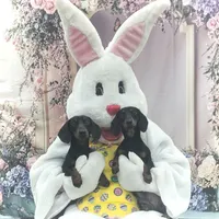 processed/d539a974-66a1-4240-af3d-2df7b3467f60/facility/38972621-8490-4b67-ae7a-1ec56f93b22c