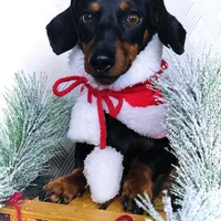 processed/d539a974-66a1-4240-af3d-2df7b3467f60/facility/43057c3d-f557-417a-80ac-409bd1d80fe2