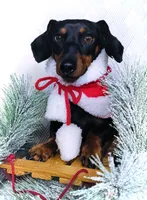 processed/d539a974-66a1-4240-af3d-2df7b3467f60/facility/43057c3d-f557-417a-80ac-409bd1d80fe2