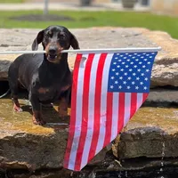 processed/d539a974-66a1-4240-af3d-2df7b3467f60/facility/7253913b-cb6f-4904-ac3e-b92b9eb65107