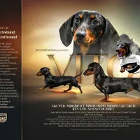 processed/d539a974-66a1-4240-af3d-2df7b3467f60/facility/95b9adad-9fe1-473d-8d42-31b944ad1826