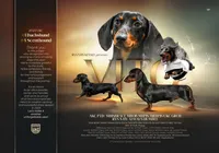 processed/d539a974-66a1-4240-af3d-2df7b3467f60/facility/95b9adad-9fe1-473d-8d42-31b944ad1826